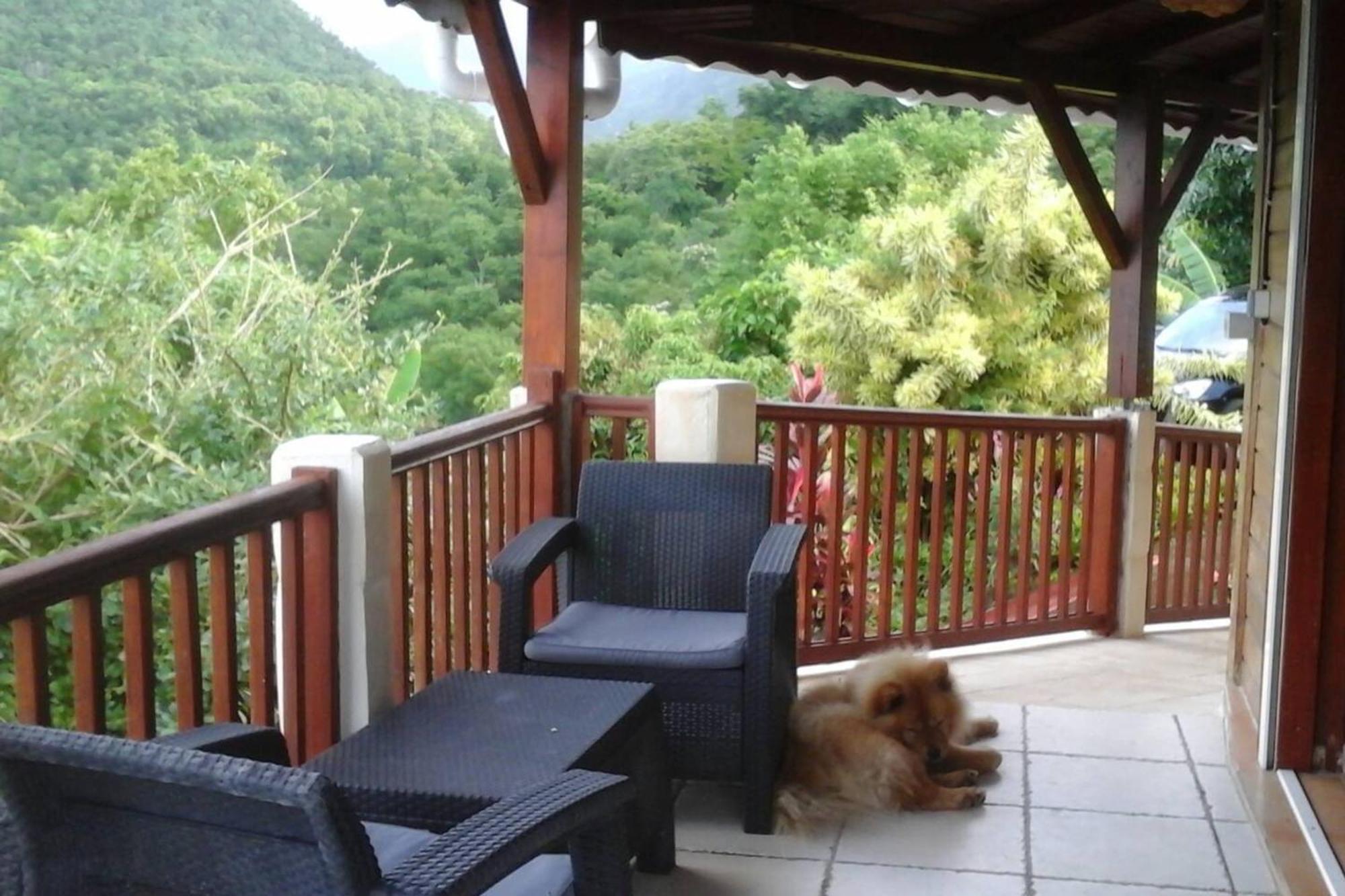 Villa Avec Vue Sur Mer A Vieux Habitants Piscine Extérieur photo